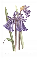  no thumbnail available