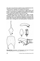  no thumbnail available