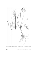  no thumbnail available