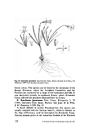 no HD illustration available (5) 