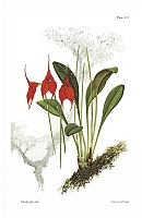  no thumbnail available