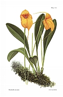  no thumbnail available