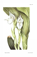  no thumbnail available