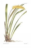  no thumbnail available