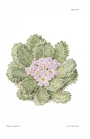 no HD illustration available (5) 