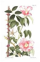  no thumbnail available