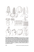  no thumbnail available