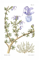  no thumbnail available