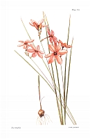  no thumbnail available