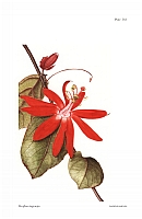  no thumbnail available