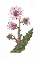  no thumbnail available