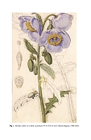  no thumbnail available