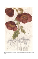  no thumbnail available