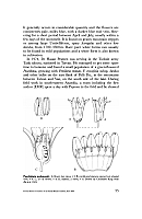 no HD illustration available (5) 