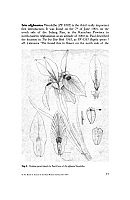 no HD illustration available (5) 