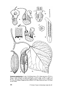 no HD illustration available (5) 