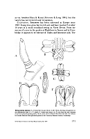  no thumbnail available