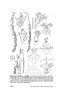 no HD illustration available (5) 