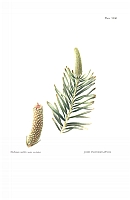 no HD illustration available (5) 