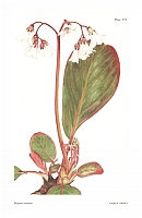  no thumbnail available