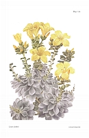  no thumbnail available