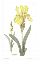  no thumbnail available