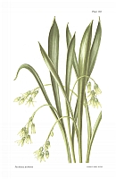  no thumbnail available