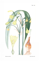  no thumbnail available