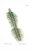  no thumbnail available