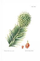  no thumbnail available