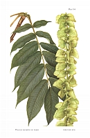 no HD illustration available (5) 