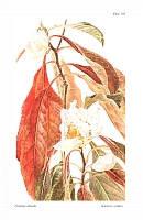 no HD illustration available (5) 