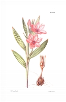  no thumbnail available