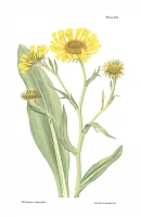  no thumbnail available