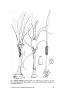  no thumbnail available