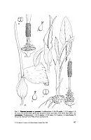 no HD illustration available (5) 