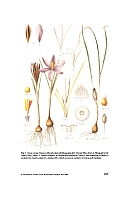  no thumbnail available