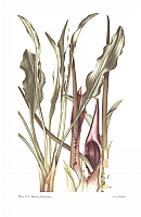  no thumbnail available