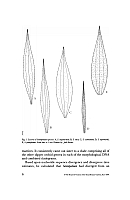  no thumbnail available