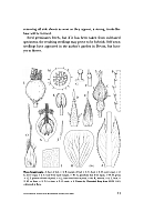  no thumbnail available