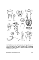  no thumbnail available