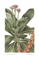  no thumbnail available