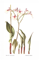  no thumbnail available