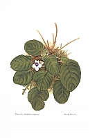  no thumbnail available