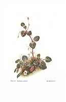  no thumbnail available