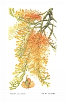  no thumbnail available