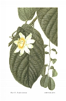  no thumbnail available