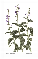  no thumbnail available