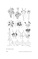  no thumbnail available