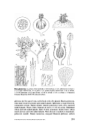 no HD illustration available (5) 